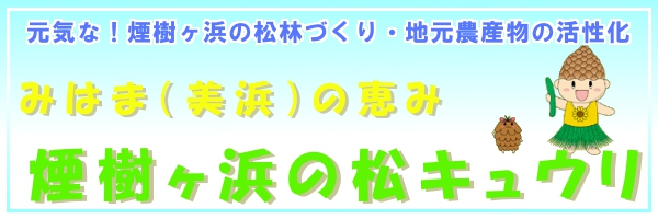 煙樹ヶ浜の松キュウリ